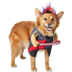 Frisco Front Walking Punk Rocker Dog & Cat Costume -Frisco 335087 PT3. AC SS1800 V1658346323