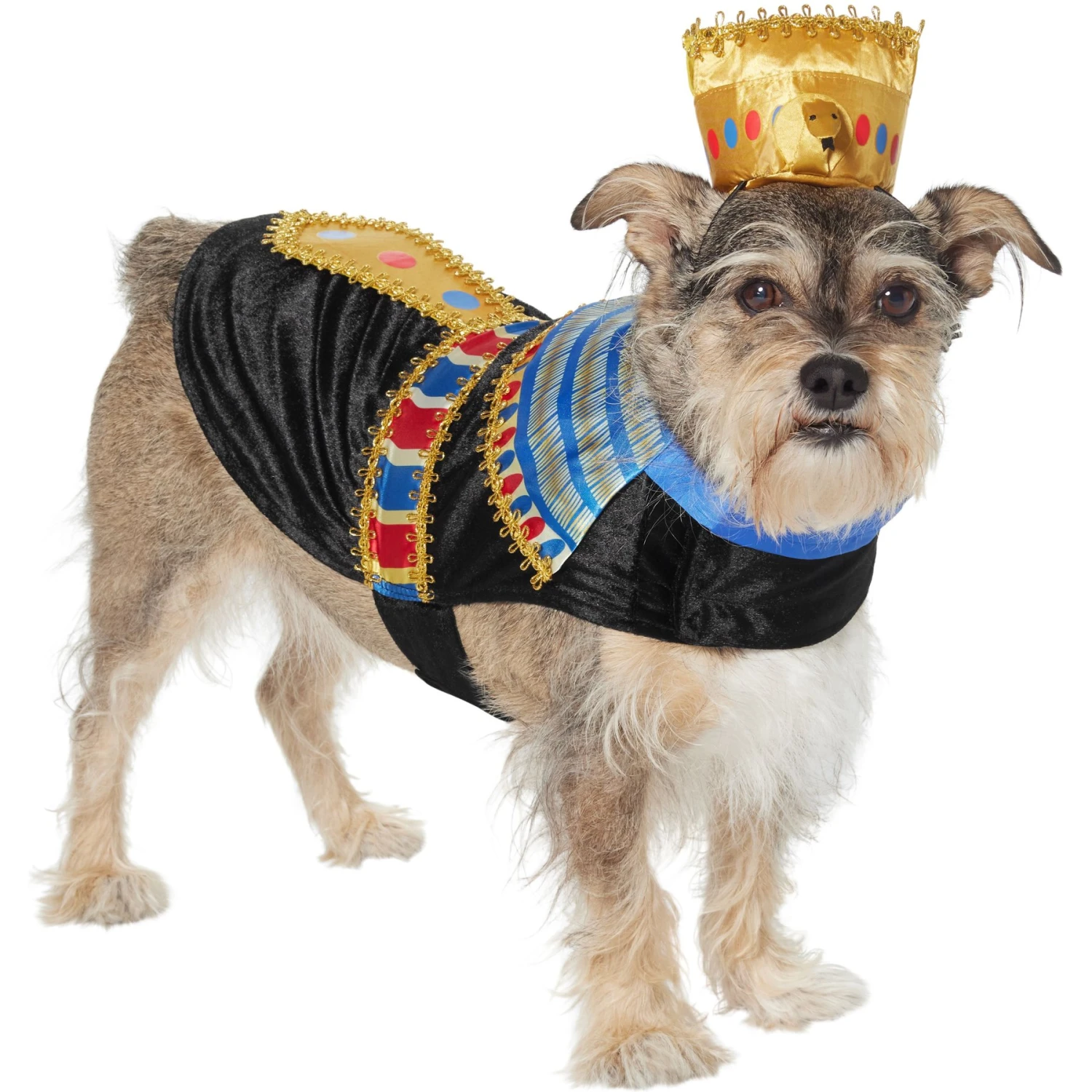 Frisco Royal Pharoah Dog & Cat Costume 3 Frisco Royal Pharoah Dog & Cat Costume