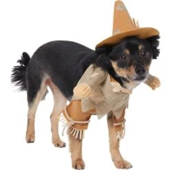 Frisco Front Walking Scarecrow Dog & Cat Costume -Frisco 335135 PT3. AC SS1800 V1658349680
