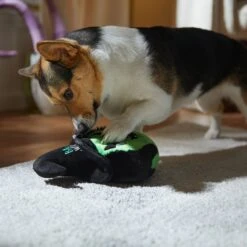 Frisco Halloween Bad Witch Round Plush Squeaky Dog Toy 9 Frisco Halloween Bad Witch Round Plush Squeaky Dog Toy -Frisco 344006 PT3. AC SS1800 V1657657029