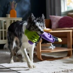 Frisco Halloween Candelabra Plush Squeaky Dog Toy 9 Frisco Halloween Candelabra Plush Squeaky Dog Toy -Frisco 344022 PT3. AC SS1800 V1657657031