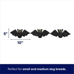 Frisco Halloween Haunted House Hide & Seek Puzzle Plush Squeaky Dog Toy 10 Frisco Halloween Haunted House Hide & Seek Puzzle Plush Squeaky Dog Toy -Frisco 344136 PT2. AC SS1800 V1690911191