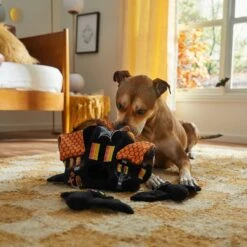 Frisco Halloween Haunted House Hide & Seek Puzzle Plush Squeaky Dog Toy 11 Frisco Halloween Haunted House Hide & Seek Puzzle Plush Squeaky Dog Toy -Frisco 344136 PT3. AC SS1800 V1657657042