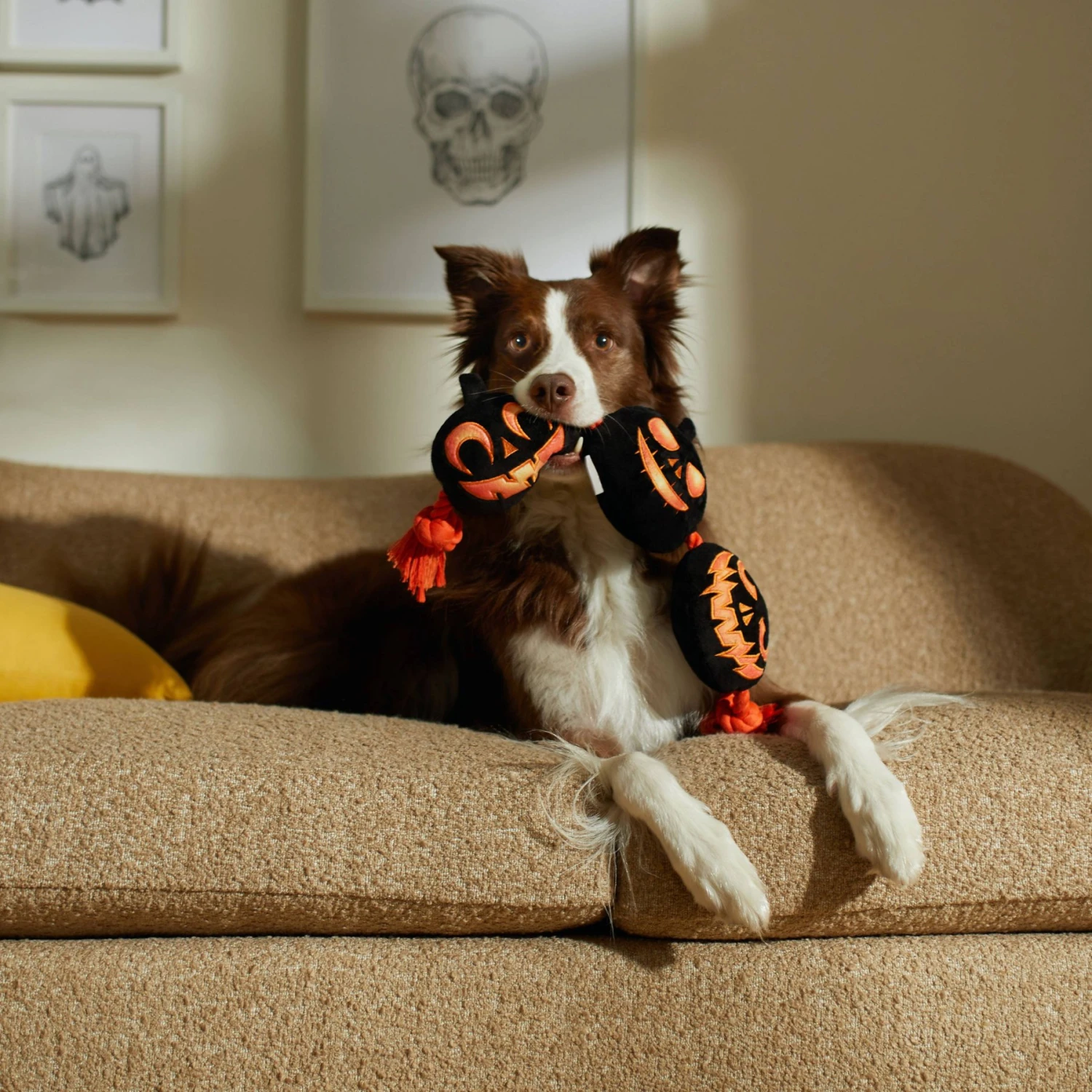 Frisco Halloween Pumpkins Plush With Rope Squeaky Dog Toy 5 Frisco Halloween Pumpkins Plush With Rope Squeaky Dog Toy - Image 3