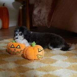 Frisco Halloween Scary Jack-O-Lantern Plush Squeaky Dog Toy -Frisco 344158 PT3. AC SS1800 V1657657048