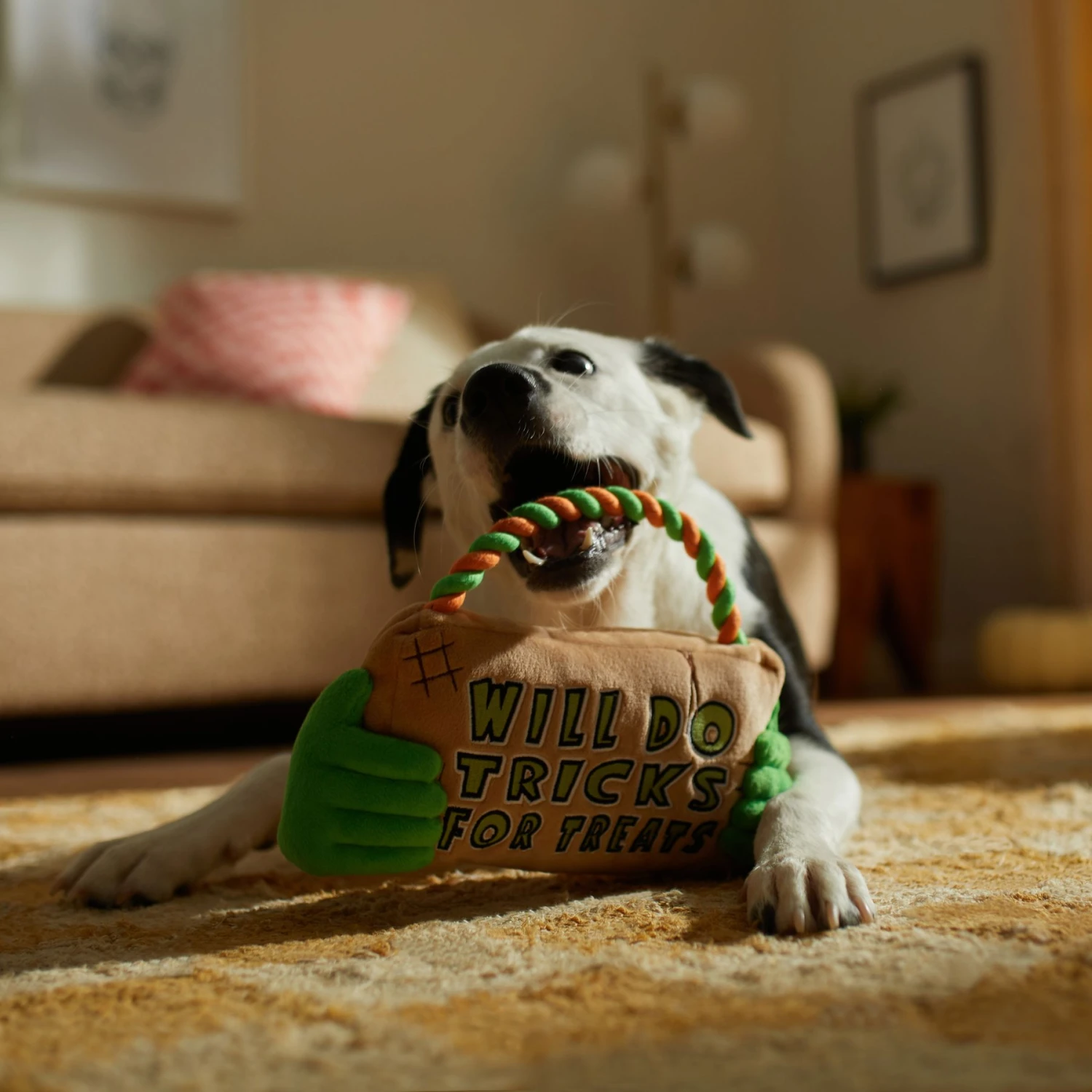 Frisco Halloween "Will Do Tricks For Treats" Sign Plush With Rope Squeaky Dog Toy 6 Frisco Halloween "Will Do Tricks For Treats" Sign Plush With Rope Squeaky Dog Toy - Image 4