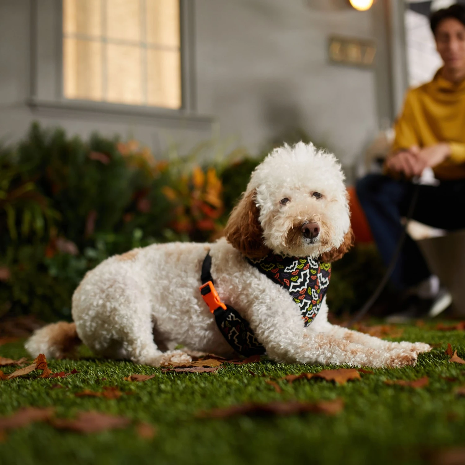 Frisco Halloween Over-The-Head Reflective Bat Wing Vest Harness 8 Frisco Halloween Over-The-Head Reflective Bat Wing Vest Harness - Image 6