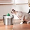 Frisco Stainless Steel Cactus & Leaf Dog & Cat Fountain -Frisco 355814 MAIN. AC SS1800 V1665684257