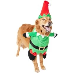 Frisco Front Walking Elf Dog & Cat Costume 15 Frisco Front Walking Elf Dog & Cat Costume -Frisco 357956 PT4. AC SS1800 V1660757458