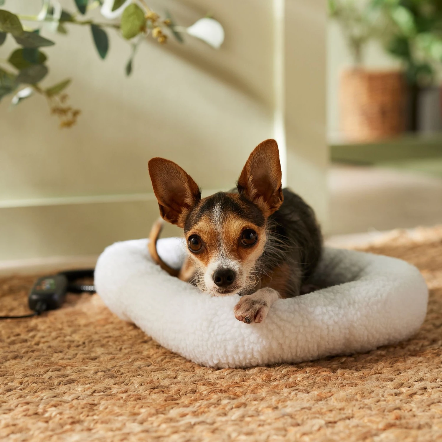 Frisco Adjustable Electrical Dog & Cat Heated Crate Mat With Timer 3 Frisco Adjustable Electrical Dog & Cat Heated Crate Mat With Timer