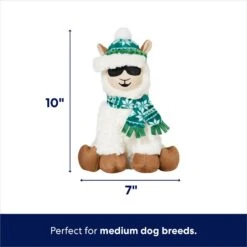 Frisco Holiday Fa La La Llama Plush Squeaky Dog Toy 8 Frisco Holiday Fa La La Llama Plush Squeaky Dog Toy -Frisco 360924 PT1. AC SS1800 V1695046159