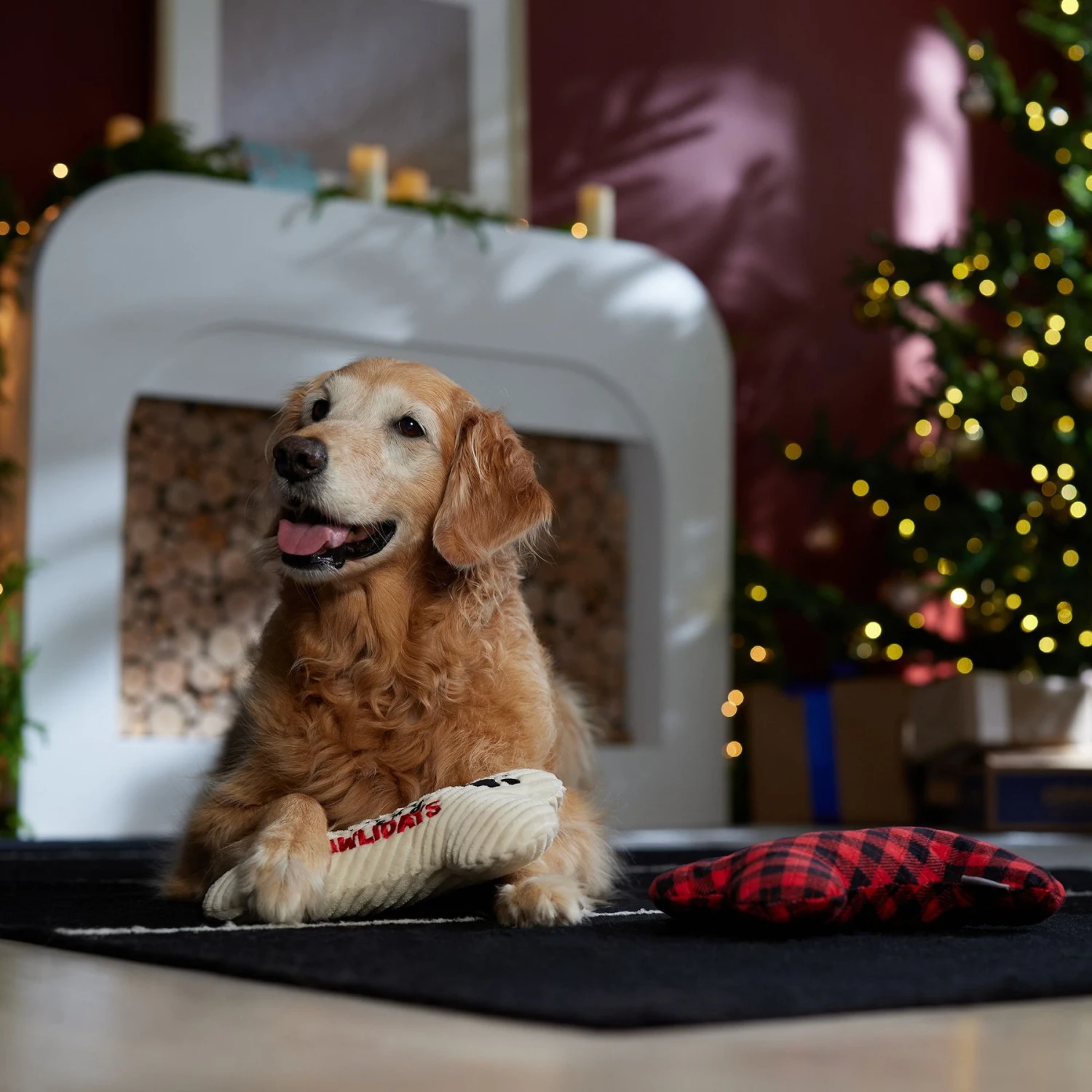 Frisco Holiday "Happy Pawlidays" Bone Plush Squeaky Dog Toy, Medium, 2 Count 5 Frisco Holiday "Happy Pawlidays" Bone Plush Squeaky Dog Toy, Medium, 2 Count - Image 3