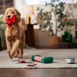 Frisco Holiday Gift Wrapping Set Plush Squeaky Dog Toy -Frisco 360968 PT3. AC SS1800 V1661874420