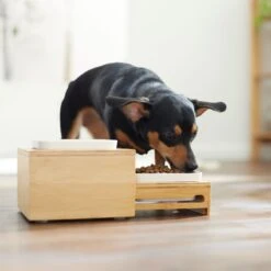 Frisco Elevated Non-Skid Bamboo Melamine Bowl Double Diner With Bamboo Stand -Frisco 363385 PT5. AC SS1800 V1657657267