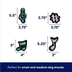 Frisco Valentine Love Song Record Player Hide & Seek Puzzle Plush Squeaky Dog Toy -Frisco 371087 PT2. AC SS1800 V1701364927