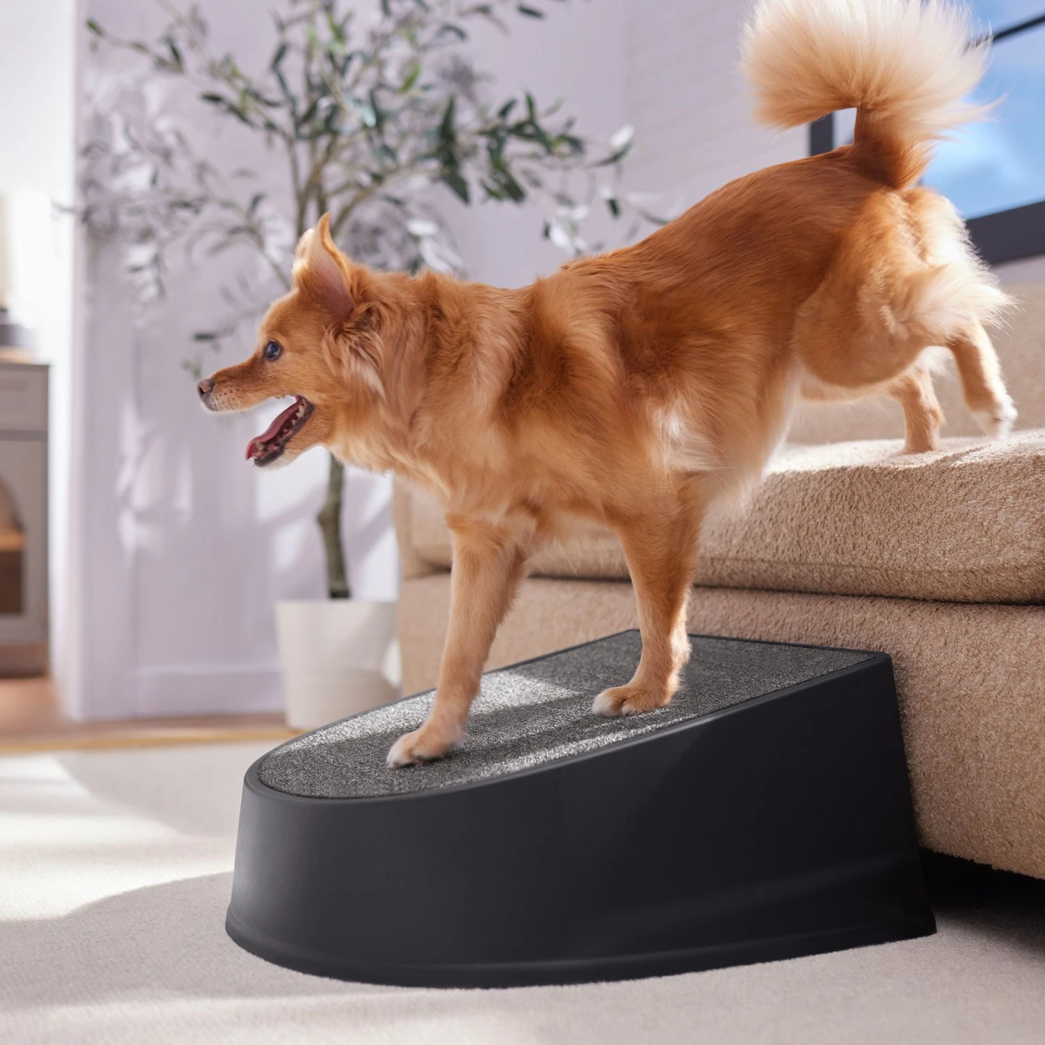 Frisco Plastic Easy Step Cat & Dog Stair 3 Frisco Plastic Easy Step Cat & Dog Stair