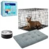 Frisco Insulated Two-Toned Non-Skid Stainless Steel Dog & Cat Bowl + 3 Items 1 Frisco Insulated Two-Toned Non-Skid Stainless Steel Dog & Cat Bowl + 3 Items -Frisco 630886 MAIN. AC SS1800 V1681228787