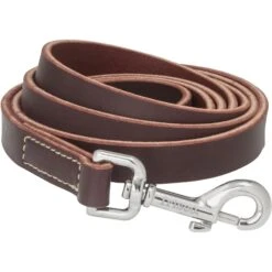 Frisco Top Grain Leather Leash + 4 Items 14 Frisco Top Grain Leather Leash + 4 Items -Frisco 630958 PT3. AC SS1800 V1662739527