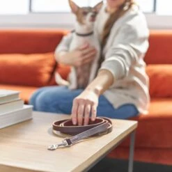 Frisco Top Grain Leather Leash + 4 Items 15 Frisco Top Grain Leather Leash + 4 Items -Frisco 630958 PT4. AC SS1800 V1662742186