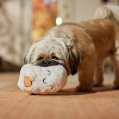 Frisco Halloween Trick Or Treat Ghost Plush Squeaky Dog Toy -Frisco 667974 PT3. AC SS1800 V1689350978