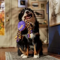 Frisco Halloween Magical Spider Plush With Rope Squeaky Dog Toy -Frisco 668310 PT3. AC SS1800 V1690571954