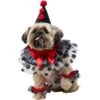 Frisco Clown Dog & Cat Costume Accessory 1 Frisco Clown Dog & Cat Costume Accessory -Frisco 706526 MAIN. AC SS1800 V1689350103