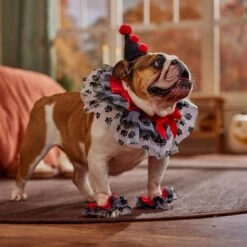 Frisco Clown Dog & Cat Costume Accessory -Frisco 706526 PT7. AC SS1800 V1689282556