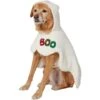 Frisco Boo-Tastic Ghost Dog & Cat Costume Cape