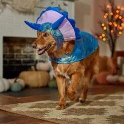Frisco Dinosaur Dog & Cat Costume 14 Frisco Dinosaur Dog & Cat Costume -Frisco 707894 PT7. AC SS1800 V1689350593