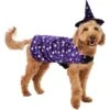 Frisco Cosmic Witch Dog & Cat Costume 1 Frisco Cosmic Witch Dog & Cat Costume -Frisco 708982 MAIN. AC SS1800 V1689282565