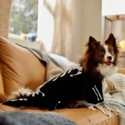 Frisco Glow In The Dark Skeleton Dog & Cat Costume -Frisco 709038 PT7. AC SS1800 V1689350988