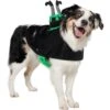 Frisco Witch Cauldron Ride-On Dog & Cat Costume