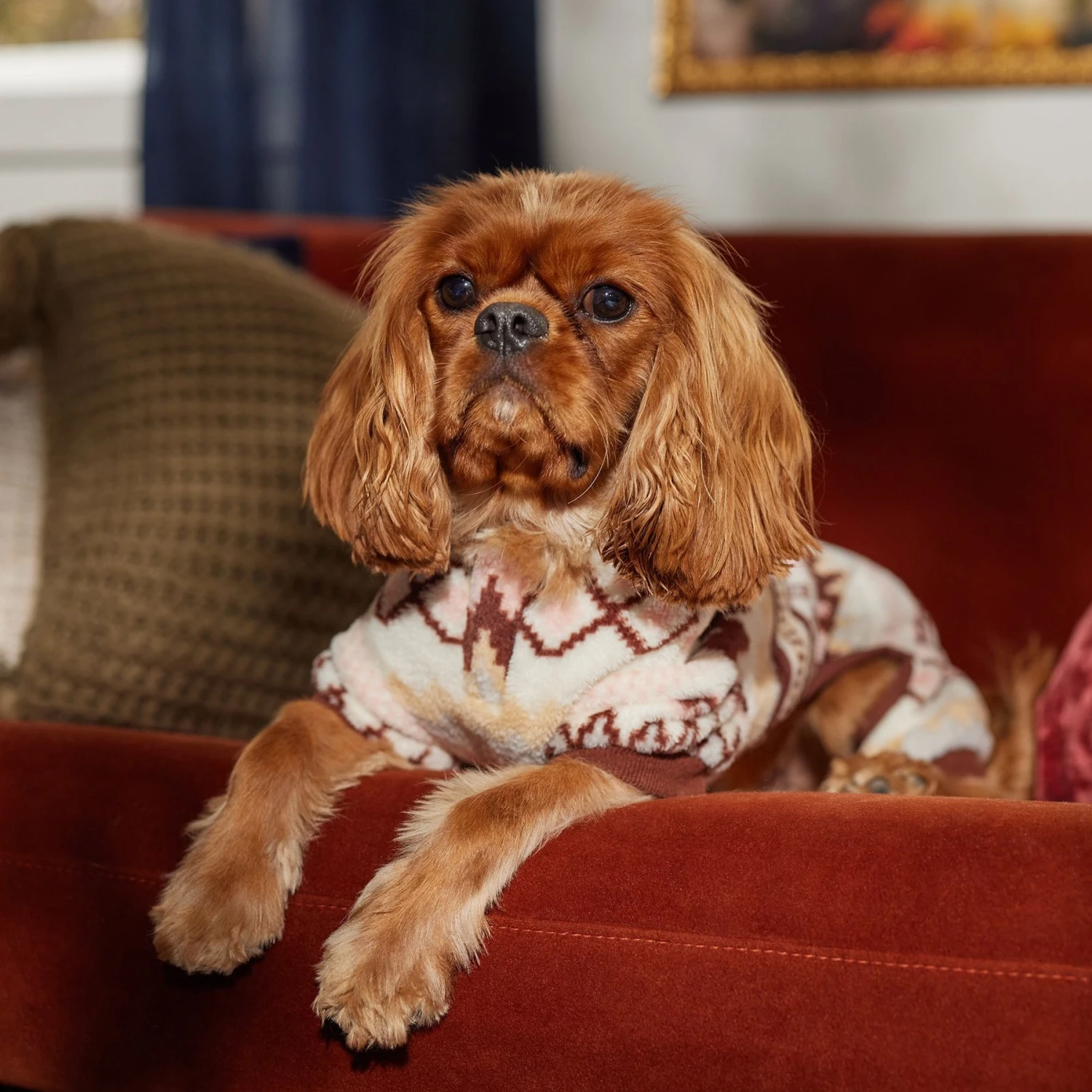 Frisco Fairisle Cozy Plush Fleece Dog & Cat PJs, Cream 9 Frisco Fairisle Cozy Plush Fleece Dog & Cat PJs, Cream - Image 7