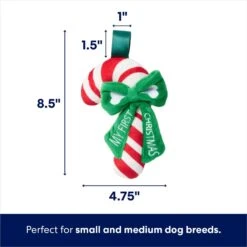 Frisco Holiday My First Christmas Candy Cane Plush Squeaky Puppy Toy -Frisco 739942 PT1. AC SS1800 V1695043437
