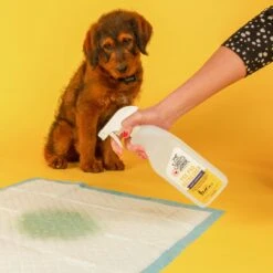 Skout's Honor Dog Pee Pad Refresher Spray, 28-oz Bottle & Frisco Washable Dog Potty Pads -Frisco 772958 PT4. AC SS1800 V1676749044