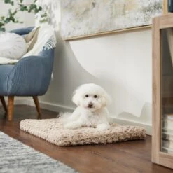 Frisco Double Door Furniture Style Dog Crate, Black & Frisco Swirl Dog Crate Mat 16 Frisco Double Door Furniture Style Dog Crate, Black & Frisco Swirl Dog Crate Mat -Frisco 947710 PT5. AC SS1800 V1693921603