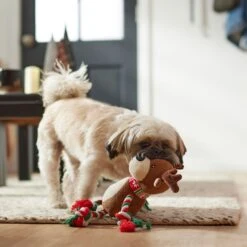 Frisco Holiday Reindeer Plush With Rope Squeaky Dog Toy & Frisco Holiday Lights Plush With Rope Squeaky Dog Toy 14 Frisco Holiday Reindeer Plush With Rope Squeaky Dog Toy & Frisco Holiday Lights Plush With Rope Squeaky Dog Toy -Frisco 986134 PT4. AC SS1800 V1698258055