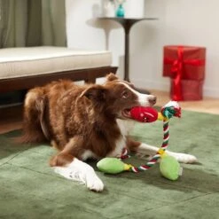 Frisco Holiday Reindeer Plush With Rope Squeaky Dog Toy & Frisco Holiday Lights Plush With Rope Squeaky Dog Toy 17 Frisco Holiday Reindeer Plush With Rope Squeaky Dog Toy & Frisco Holiday Lights Plush With Rope Squeaky Dog Toy -Frisco 986134 PT8. AC SS1800 V1698258405