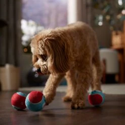 Frisco Holiday Santa's Helpers Plush Squeaky Dog Toy, 3 Count & Frisco Holiday Ho Ho Ho Fetch Squeaky Tennis Ball Dog Toy -Frisco 986214 PT8. AC SS1800 V1698258345