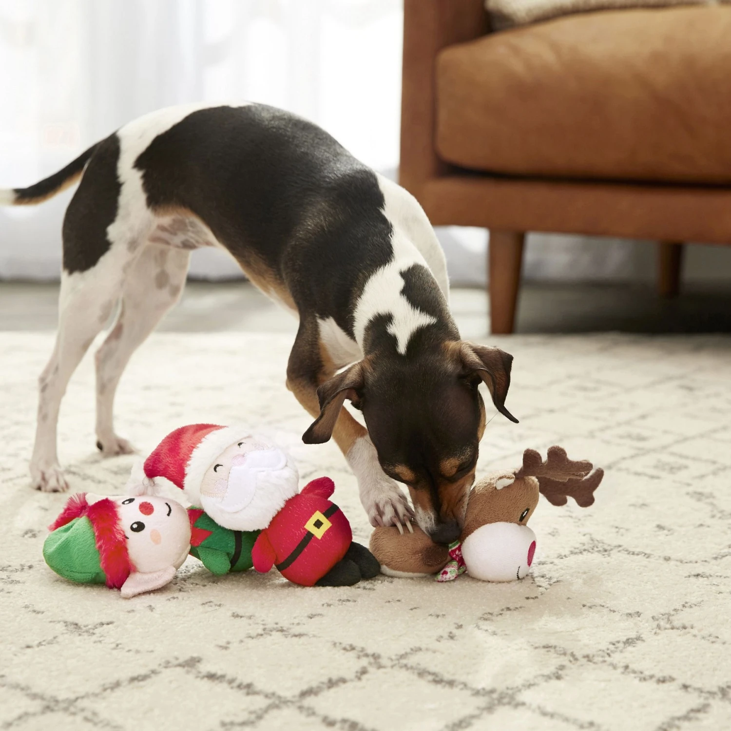 Frisco Holiday Santa's Helpers Plush Squeaky Dog Toy, 3 Count & Frisco Holiday Tree Thin Plush Squeaky Dog Toy 7 Frisco Holiday Santa's Helpers Plush Squeaky Dog Toy, 3 Count & Frisco Holiday Tree Thin Plush Squeaky Dog Toy - Image 5